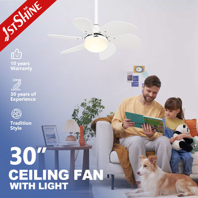 ซื้อ พัดลมเพดาน 1stshine พร้อมใบพัดสีขาวและ 6 ระดับความเร็ว แรงดันไฟฟ้าขาเข้า 110-240V/50Hz-60Hz การผลิตออนไลน์