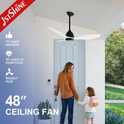 48-inch ABS Blades Ceiling Fan with 6 Speeds Remote Control Without Light Fancy Design